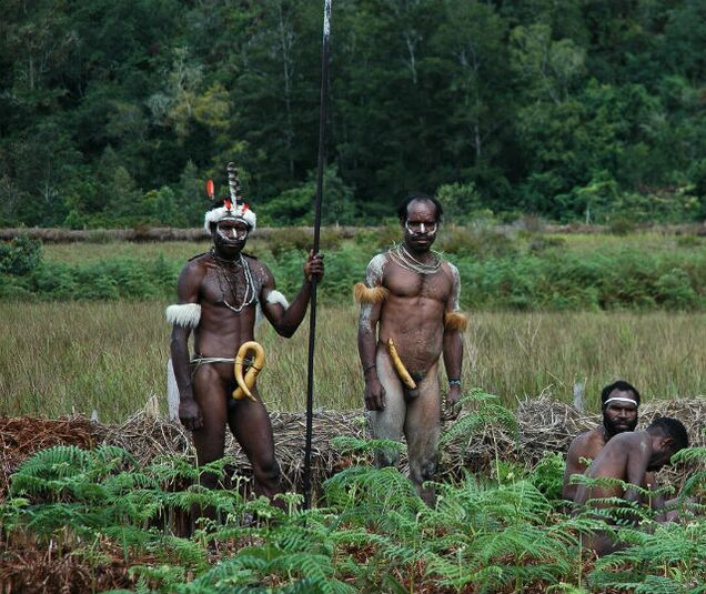 aborigeni cu membrii mariti